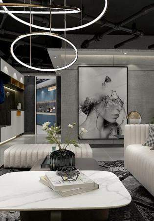 �׸���˹• INSϵ����Ʒ�|(zh��)����ē������b��Ч���D